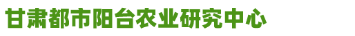 外贸模版网站